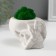 Kashpo Concrete "Seek Skull" with moss 7x10 cm white (moss green stabilized)