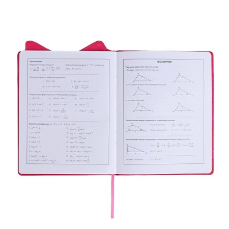 School diary for grades 1-11, boss spitz, firm covered with foam, artificial leather, curly cutting, liesse, universal cheat sheet, 48 sheets, block 80g/m2-8