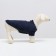 Folder for animals "Bear", size S, blue (DS 23, Osh 22, OG 34 cm)