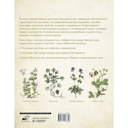 Medicinal plants. Big Atlas. Safonov N.N.-1