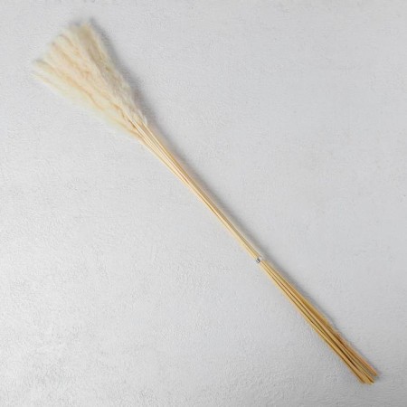 Sukhotzet "reed" set 15 pcs, beige color-4