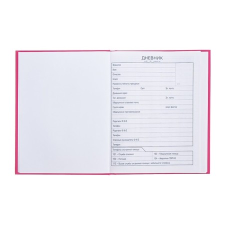 Universal diary for grades 1-11 "Bunny Mi", hard cover, matte lamination, 40 sheets-3