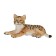 Figure Konik "Tigeron (lying)"