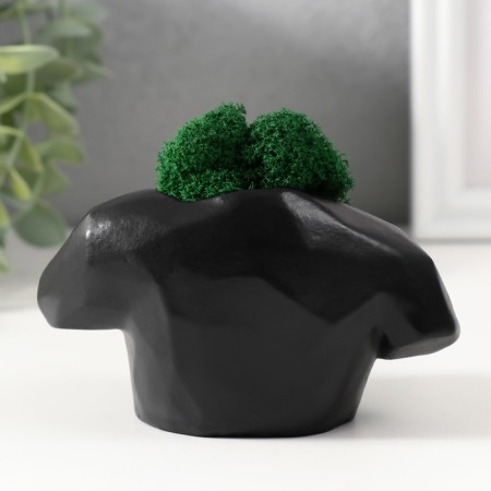Kashpo concrete "Bust" with moss 6.5x11cm black (moss green stabilized)-2
