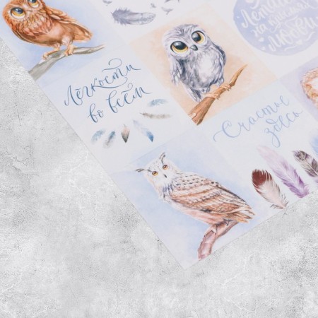 Paper stickers "owls", 11 × 15.5 cm-1