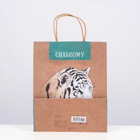 Gift package "strong" 26 x 32 x 12 cm-1