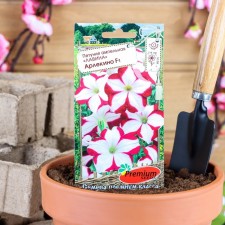 Petunia flowers ampel avalanche hacksino f1, o, 10pcs