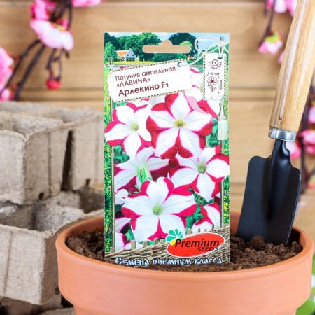 Petunia flowers ampel avalanche hacksino f1, o, 10pcs