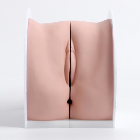 Vagina layout polled 19*13*17cm-4