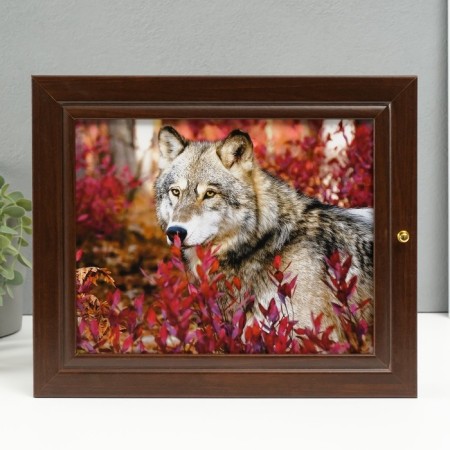 Keywater "Wolf" 26x31 cm