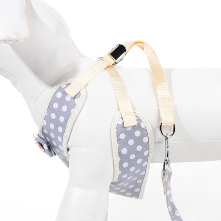 A set with a soft harness "peas", size S, leash 120 x 1.5 cm, og 28-62 cm, gray-4