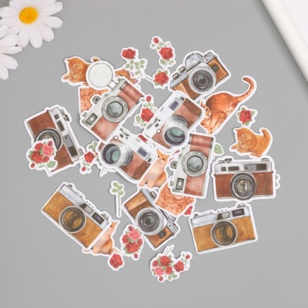 Stickers for creativity "Cats, red roses and photos" 3.5x5 cm set 40 pcs 9.4x8.4x0.5 cm-3