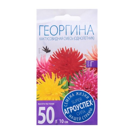 Georgin flowers are a cacti -shaped mixture, o, 0.2 g-4