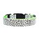 Collar with backlight leopard 3 glow modes, size L, Osh 48-60 x 2.5 cm green