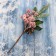Decor "Winter Dreams" branch of needles berries bumps, 27 cm