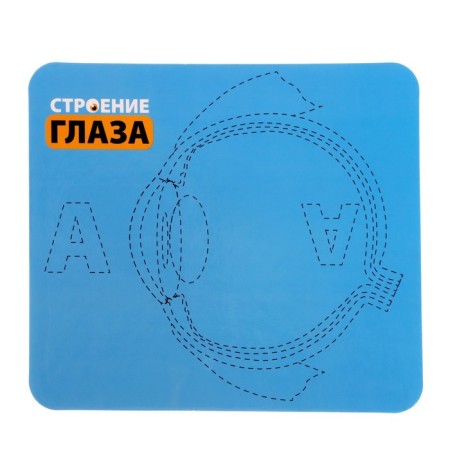 Набор для опытов «Моё тело», глаз-3