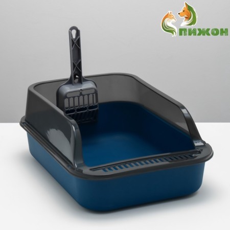 Toilet with transparent sides with a scoop and filter, 40 x 28 x 16 cm, blue-1