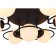 Ceiling EVOLUCE lamp. SL418.402.07. Galio. 7x60 watts, E27, 93x93x30 cm, black color