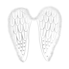 Wings 