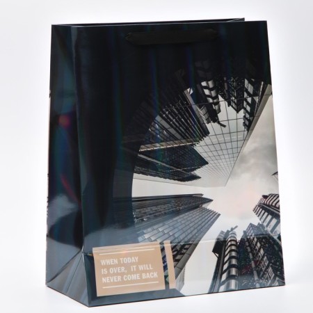 Gift Laminated Vertical, packaging, “skyscraper”, rainbow holography, m 26 x 32 x 12 cm-2