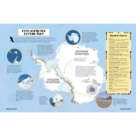 Antarctica. Melting continent. Young K. R.-1