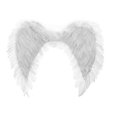 Angel wings, 40 × 60 cm, white color