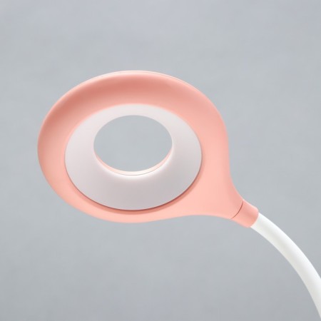 Board lamp with a nightmare "Princess" LED 3000K-6000K 5W USB AKB pink 14x14x44cm Risalux 9413-12