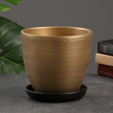 Flower “Amelia” pot of gold, 2.4 liters