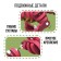 Designer "Tyranosavr", soft, EVA material, 118 details