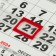 Calendar quarterly mono "Symbol of the year - 2" 2025, 30 x 46 cm