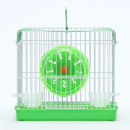 A cell for rodents equipped RT-2Q, 22 x 16 x 20 cm, green-1