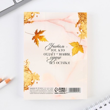 Diary "Golden Teacher", A6 format, 120 sheets, soft cover.-4