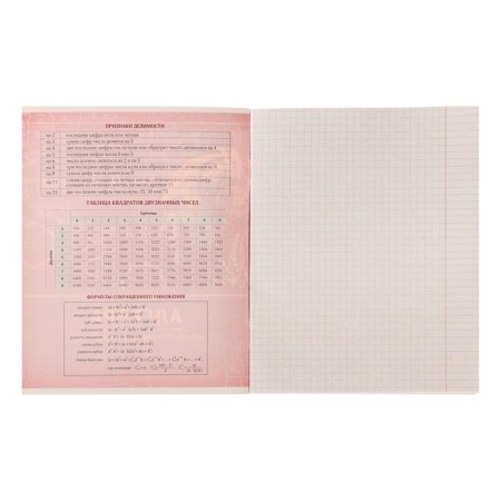 Substantial note Calligrata "Metal", 48 sheets in the algebra cage, with reference material, covered cardboard, block No. 2, whiteness 75% (gray sheets)-1