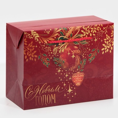Gold Package Corps, 23 x 18 x 11 cm, New Year-3
