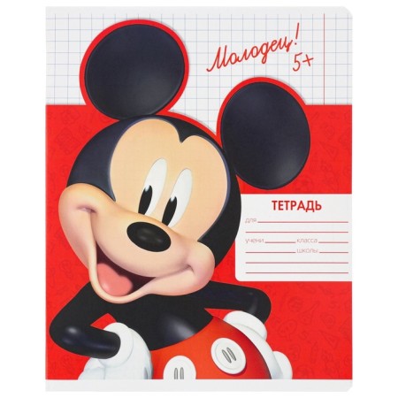 A set of notebooks 20 pieces, 12 sheets, Mickey Mouse-1