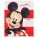 A set of notebooks 20 pieces, 12 sheets, Mickey Mouse