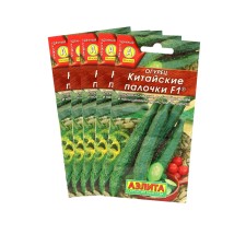 Seeds of cucumber 