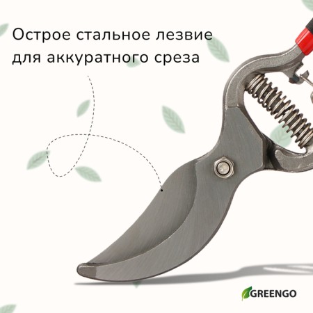 Planning coater, 10 "(25 cm), with metallic rubberized handles, Greengo-5