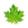 Decoration on the adhesive tape "Maple leaf" Green, 18x18 cm