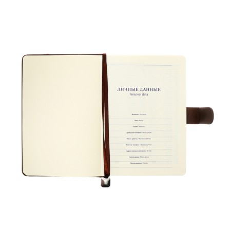 The diary of a non -section A5, 140l, cage, K/deputy, with a pen, in gift. box., brown-8