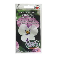 Flowers of Viola Sorbet 