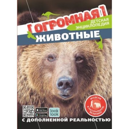 Forethly animals. Kutsaeva N.G.