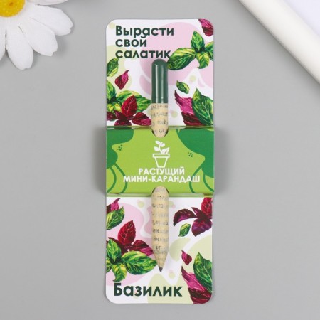 Growing Mini gift pencils grow its salad "Basil"