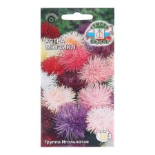 Flowers of Astra 