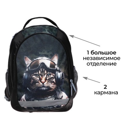 School backpack, 37 x 27 x 16 cm, ergonomic back, calligrata b "Cat Militari"-2