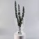 VAZA "conical" large D-18.5cm 29x18.5x10cm, 4l transparent
