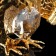 SUVA souvenir, 4.5 × 3.5 × 5.5 cm, with crystals