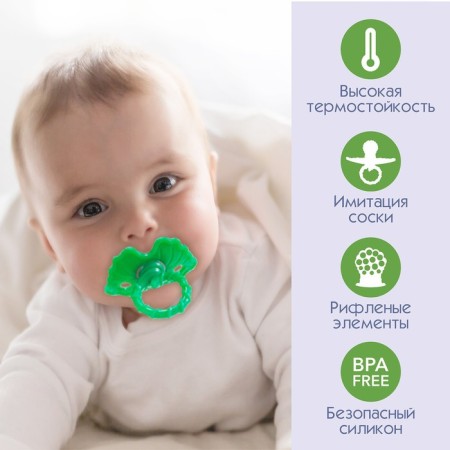 Silicone teether "berry-dummy", purple color, crush me-3