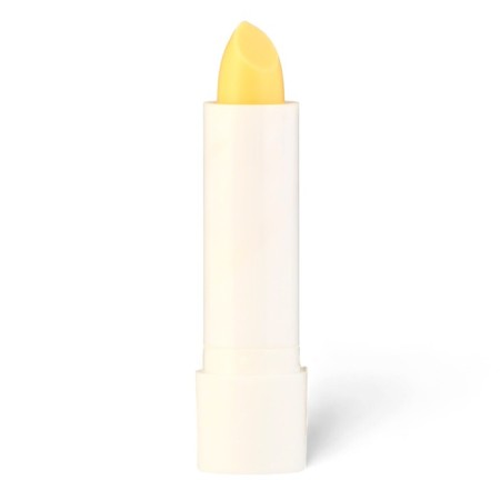 Lip balm Fruit Divine "Mango", 4.3 g-1