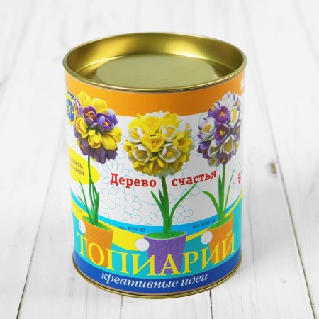 Set for the work of topiary of the small "crocuses", purple/yellow, 13 cm-1